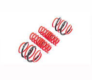 G90/G99 BMW M5 AST Lowering Spring Set