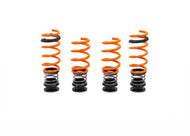 G90/G99 BMW M5 AST Height Adjustable Springs