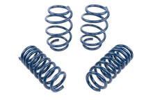 Load image into Gallery viewer, Dinan Performance Spring Set - 2018-2025 BMW X3 M40i / X4 M40i
